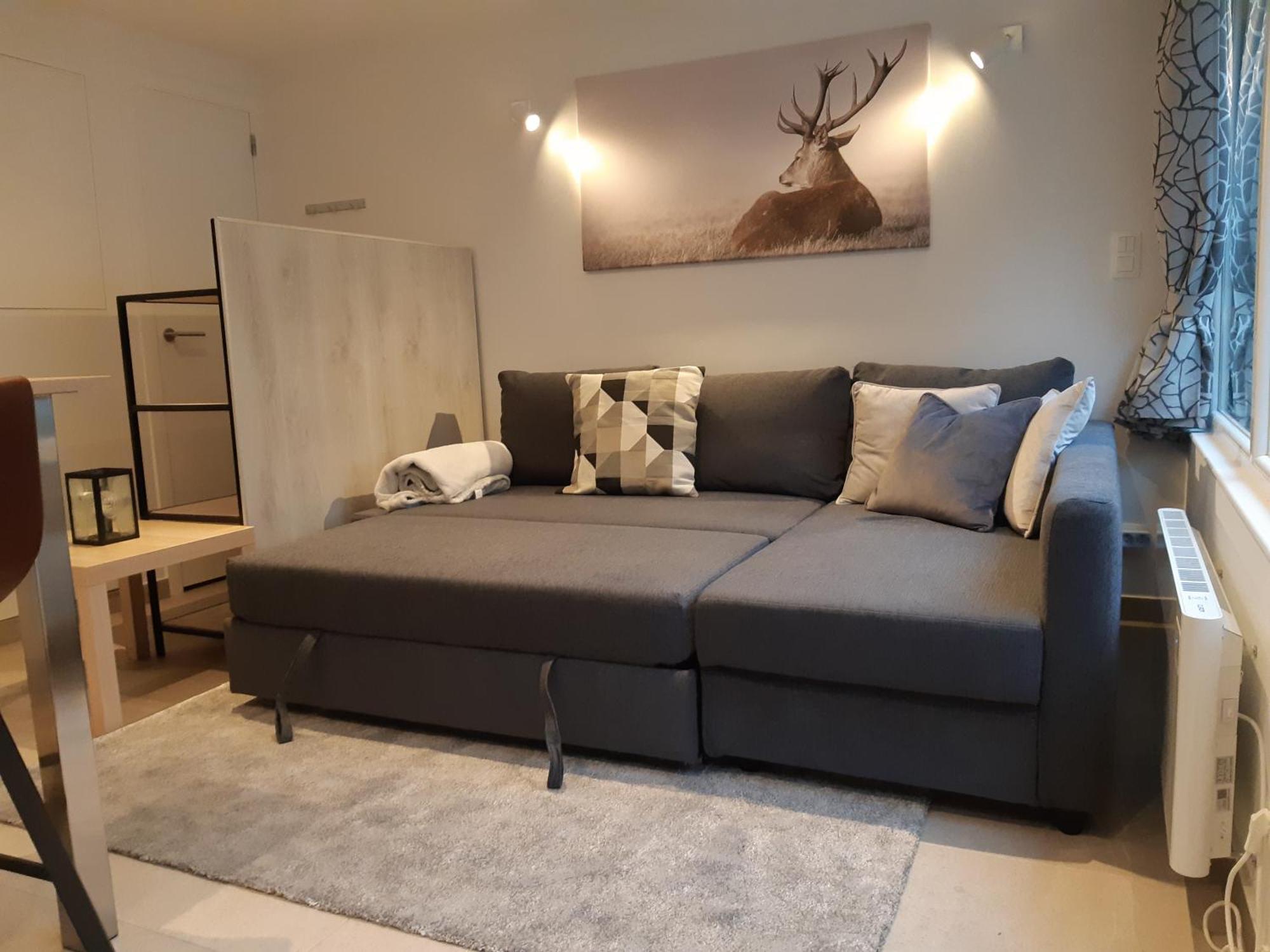 Terrasses De Malmedy F&L Triplex 214 Et Studio 320 Et 317 Et Studio Superieur 340 部屋 写真