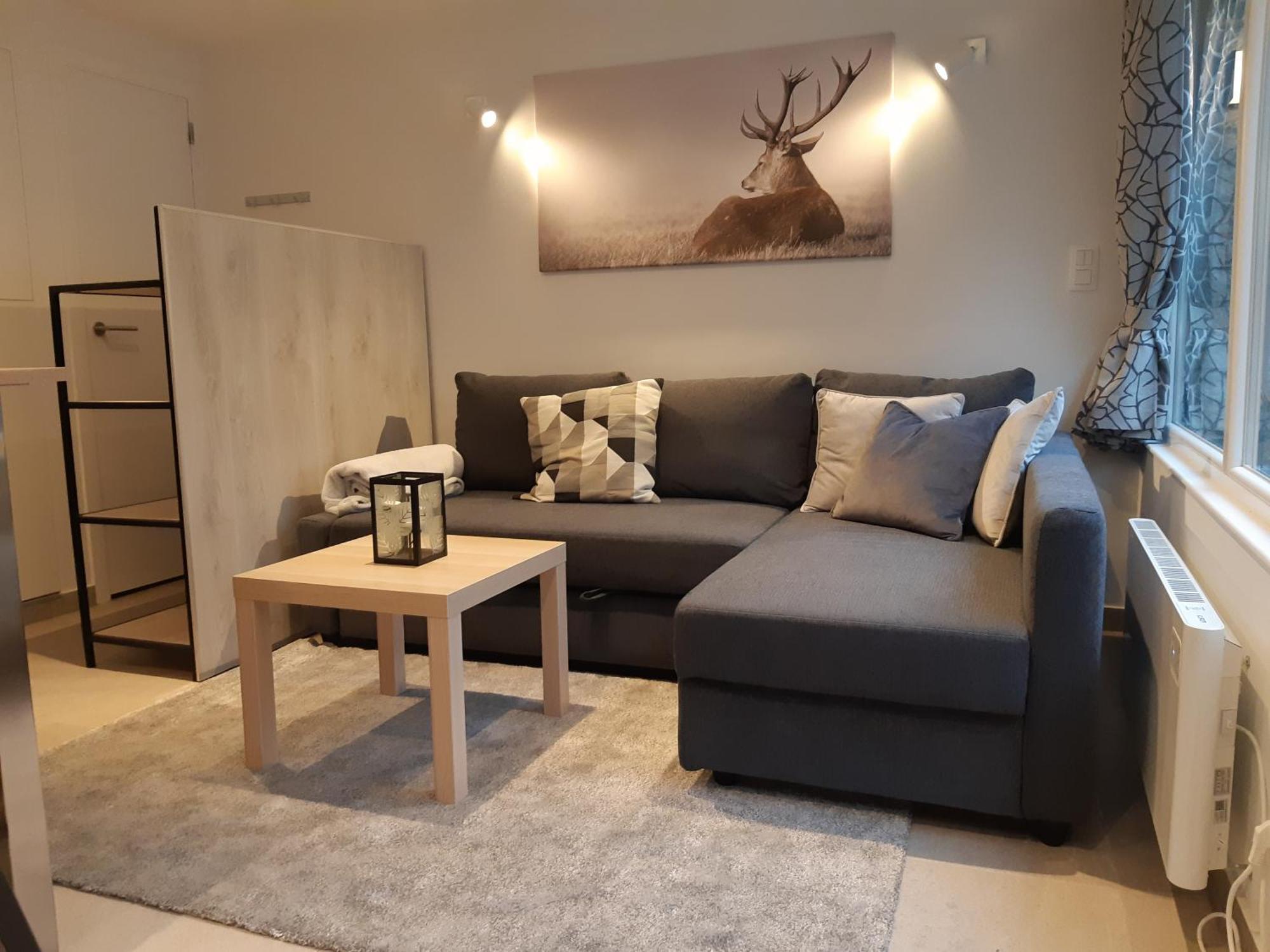 Terrasses De Malmedy F&L Triplex 214 Et Studio 320 Et 317 Et Studio Superieur 340 部屋 写真